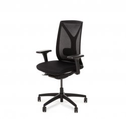 ������ ���� ��� / Dion Mesh