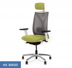 ������ ���� ��� / Dion Mesh