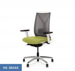 ������ ���� ��� / Dion Mesh