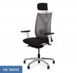 ������ ���� ��� / Dion Mesh
