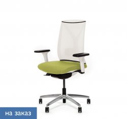 ������ ���� ��� / Dion Mesh