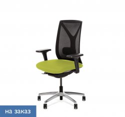 ������ ���� ��� / Dion Mesh