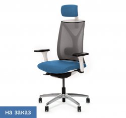 ������ ���� ��� / Dion Mesh