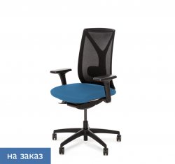 ������ ���� ��� / Dion Mesh
