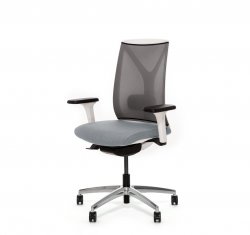 ������ ���� ��� / Dion Mesh
