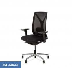 ������ ���� ��� / Dion Mesh