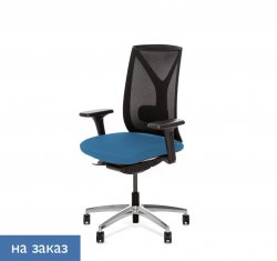 ������ ���� ��� / Dion Mesh
