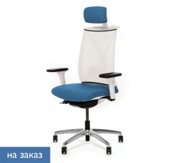 ������ ���� ��� / Dion Mesh