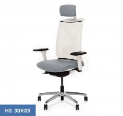 ������ ���� ��� / Dion Mesh
