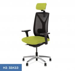 ������ ���� ��� / Dion Mesh