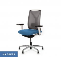 ������ ���� ��� / Dion Mesh