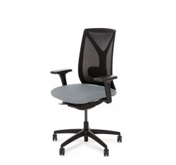 ������ ���� ��� / Dion Mesh