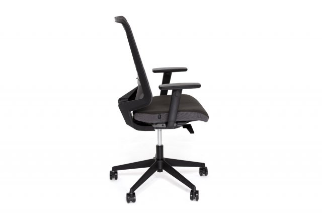 ������ ��� ��� / Dot Pro