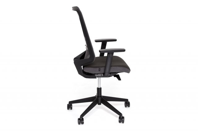 ������ ��� ��� / Dot Pro