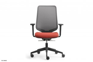 ������ ��� ��� / Dot Pro