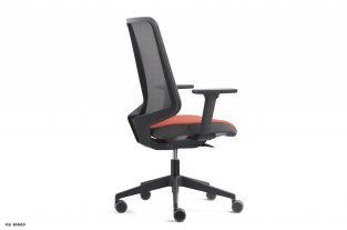 ������ ��� ��� / Dot Pro