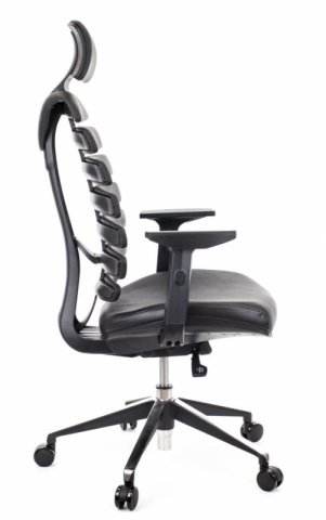������ ���� ���� / Ergo Black ���� ������