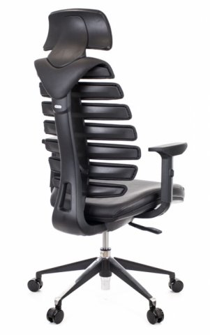 ������ ���� ���� / Ergo Black ���� ������