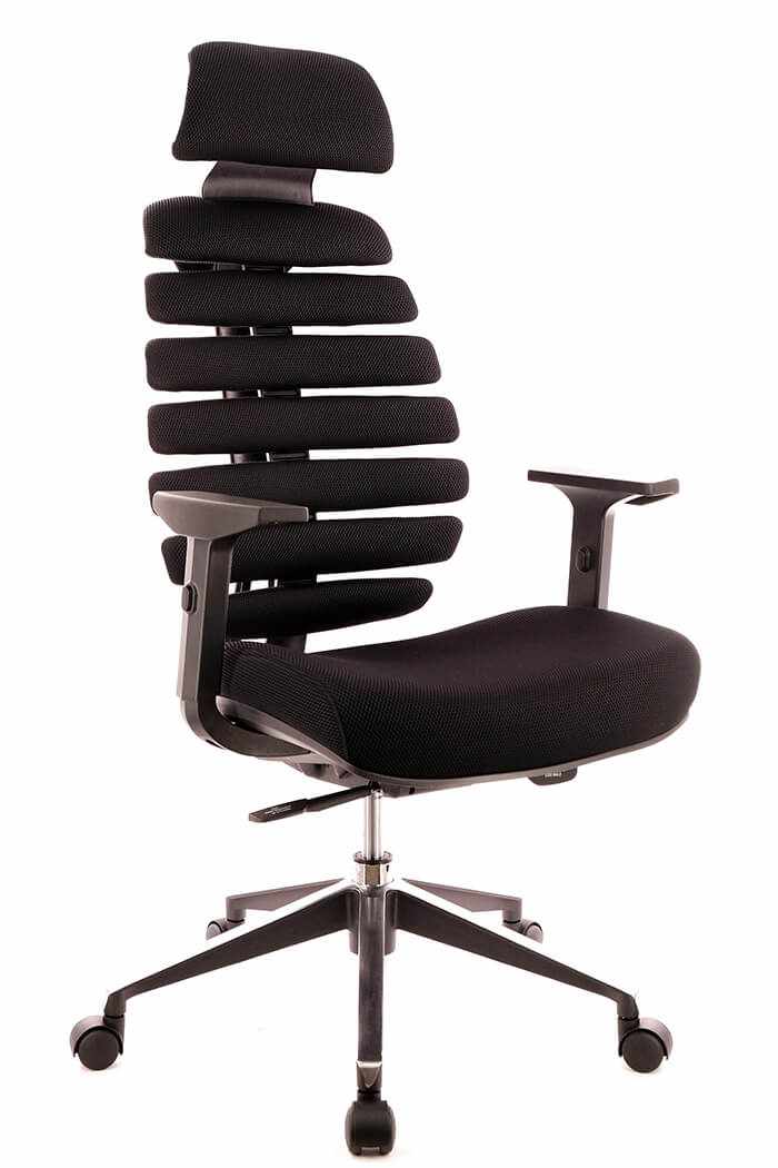 ������ ���� ���� / Ergo Black ����� ������