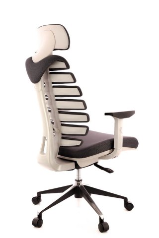 ������ ���� ���� / Ergo Grey ����� �����