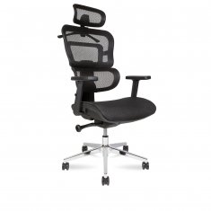 ������ ���� � / Ergo M ������ �����/�����