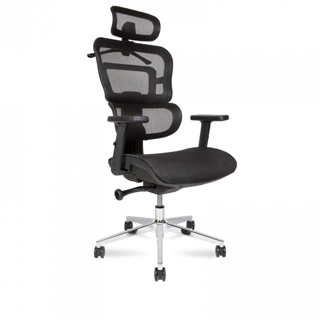 ������ ���� � / Ergo M ������ �����/�����