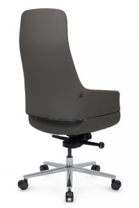 ������ ����� (A2518) ���� ��������