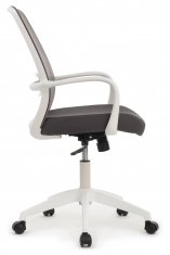 ������ Fast White (W-207) ����� �����