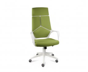 ������ ����� ���� ������� ���� / Iq White Plastic Green