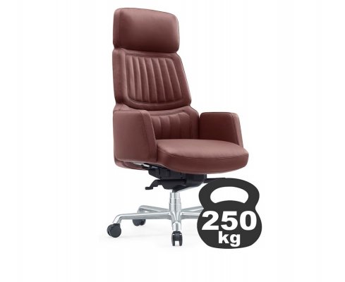 ������ ������ (A2411-1) ���� ����������