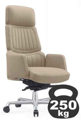 ������ ������ (A2411-1) ���� ������-�������