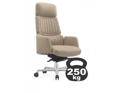 ������ ������ (A2411-1) ���� ������-�������