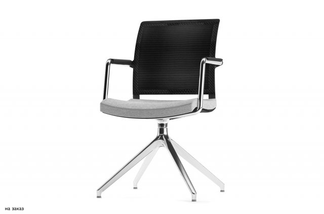 ������ Magna