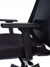 ������ ���� ���� / Mono Black