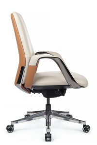������ Napoli-M (YZPN-YR021) ���� �������