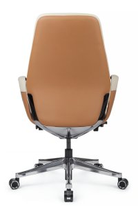������ Napoli-M (YZPN-YR021) ���� �������