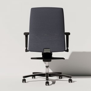 ������ ��� ���� / Neo Chair