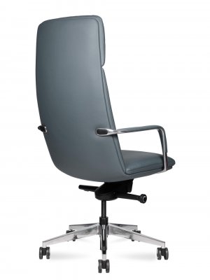 ������ ��� ���� / Neo Grey ���� �����