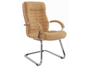 ������ ����� ���� ���� / Orion steel chrome-St