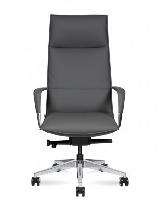 ������ ������ ���� / Parker Grey ������� �����