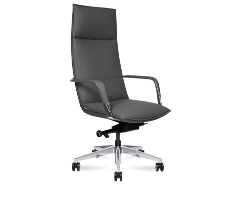 ������ ������ ���� / Parker Grey ������� �����