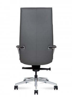 ������ ������ ���� / Parker Grey ������� �����