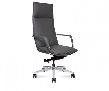 ������ ������ ���� / Parker Grey ������� �����