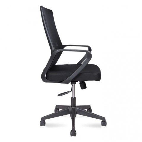 ������ ���� ���� �� / Pino Black Lb