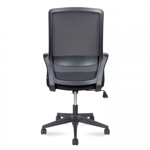 ������ ���� ���� �� / Pino Black Lb