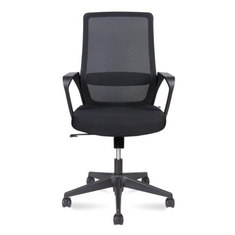 ������ ���� ���� �� / Pino Black Lb
