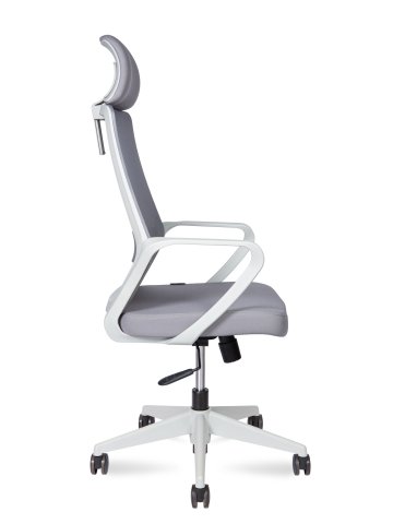 ������ ���� ���� / Pino Grey