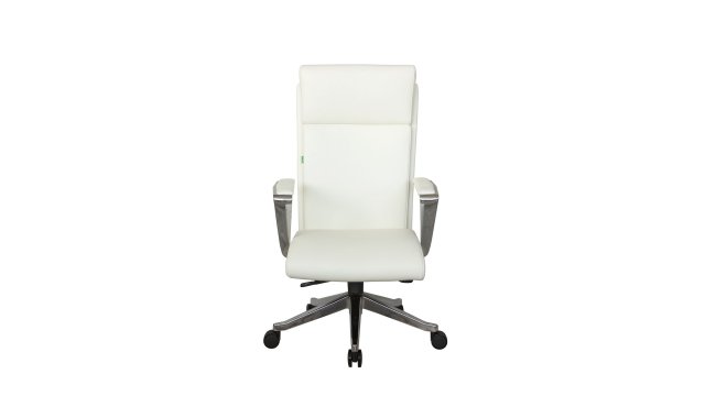������ ���� (� 1511) ����������� ���� �����
