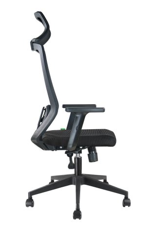 ������ ���� �755 �����/����� ������/������