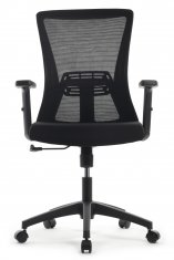 ������ Riva Chair B258Y �����/�����
